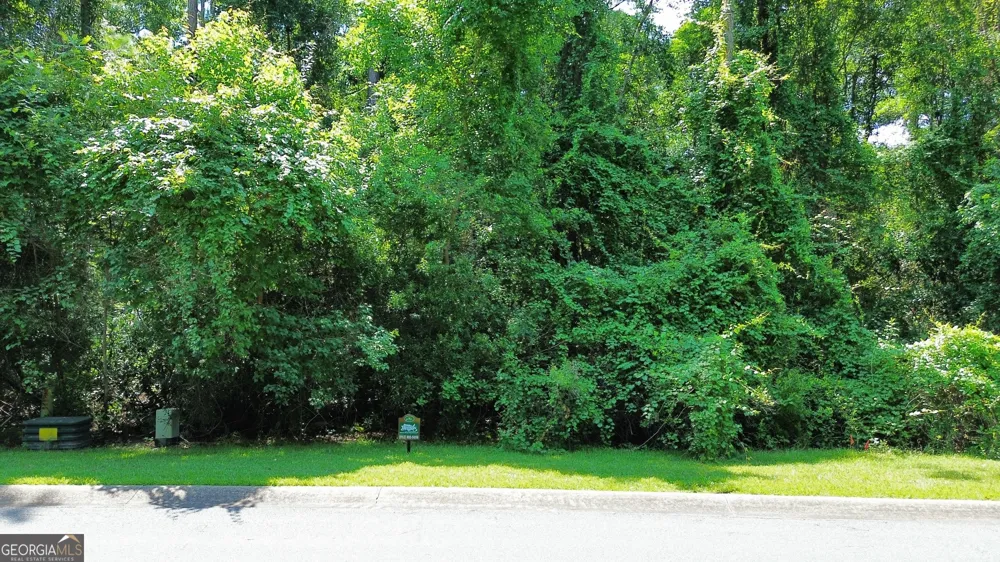 183 Sunrise DR Woodbine, GA 31569