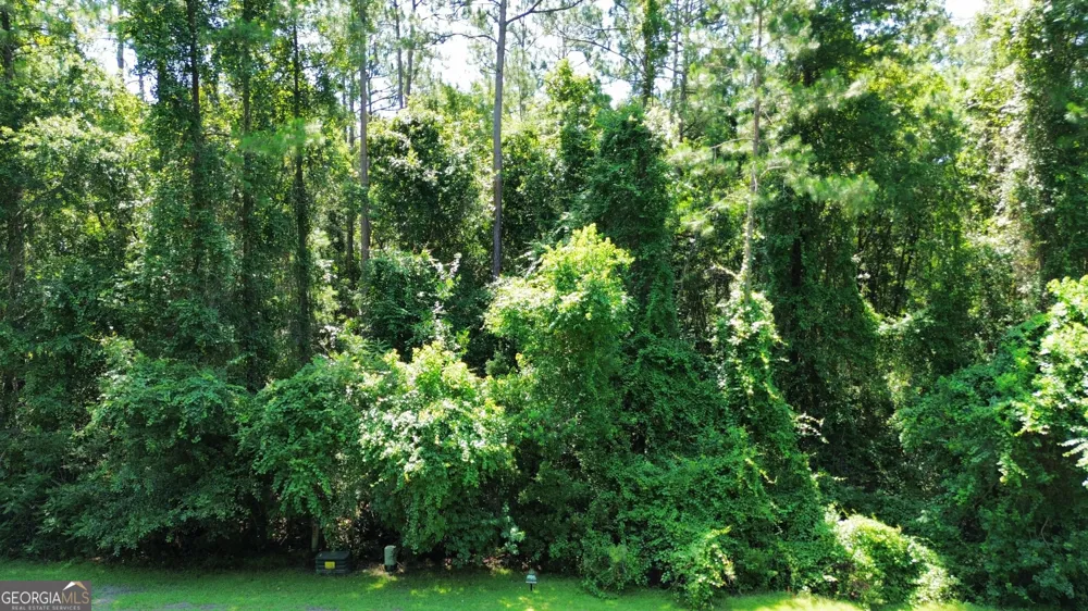 183 Sunrise DR Woodbine, GA 31569