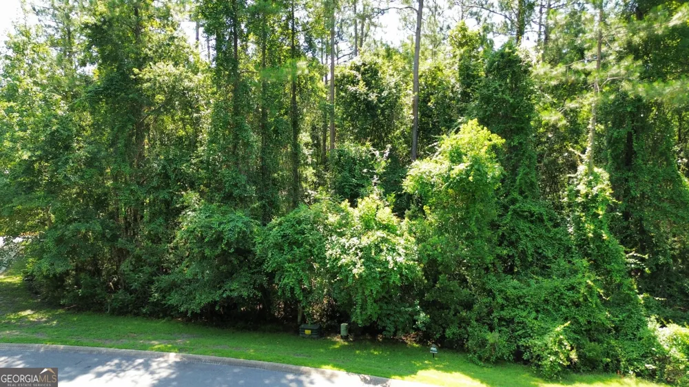 183 Sunrise DR Woodbine, GA 31569