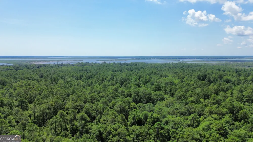183 Sunrise DR Woodbine, GA 31569