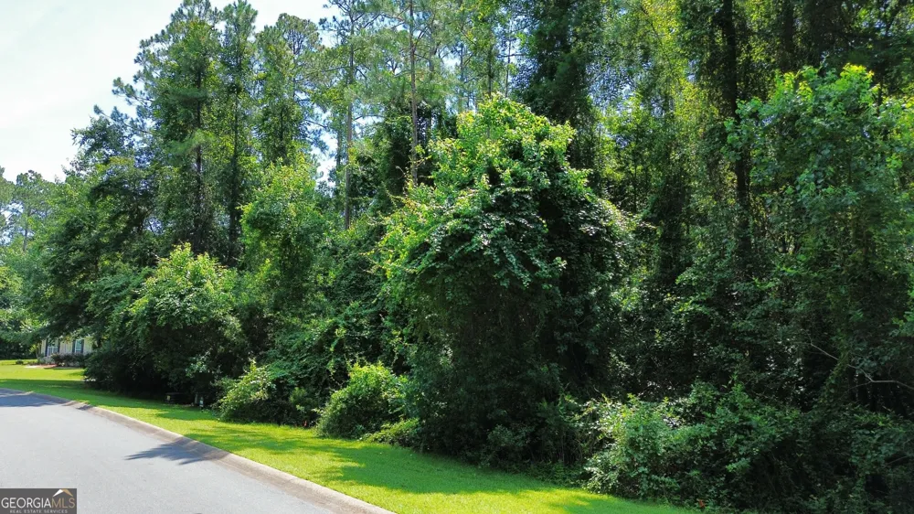 183 Sunrise DR Woodbine, GA 31569