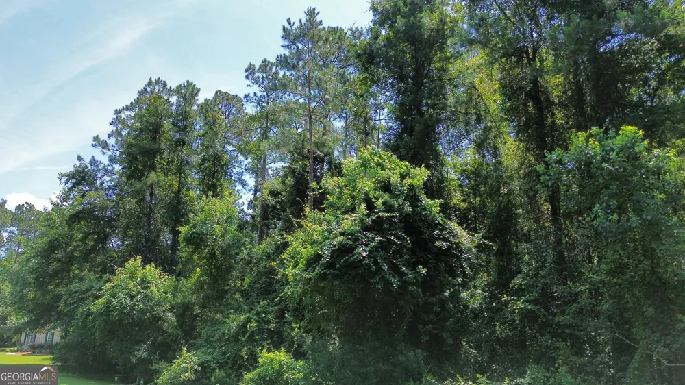 183 Sunrise DR Woodbine, GA 31569