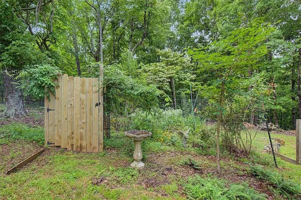 1002 Raccoon Ridge NE Ranger, GA 30734