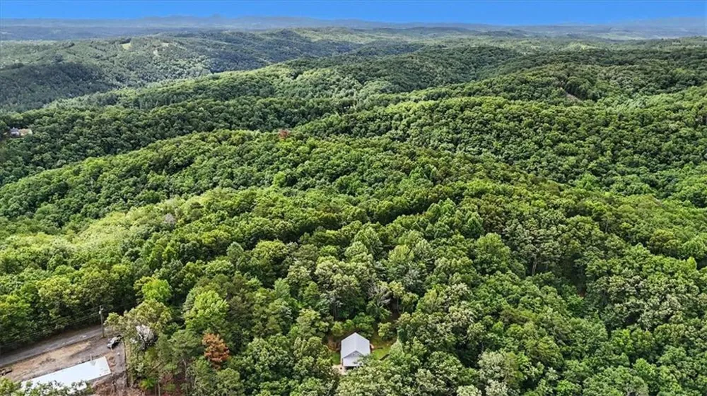 1002 Raccoon Ridge NE Ranger, GA 30734