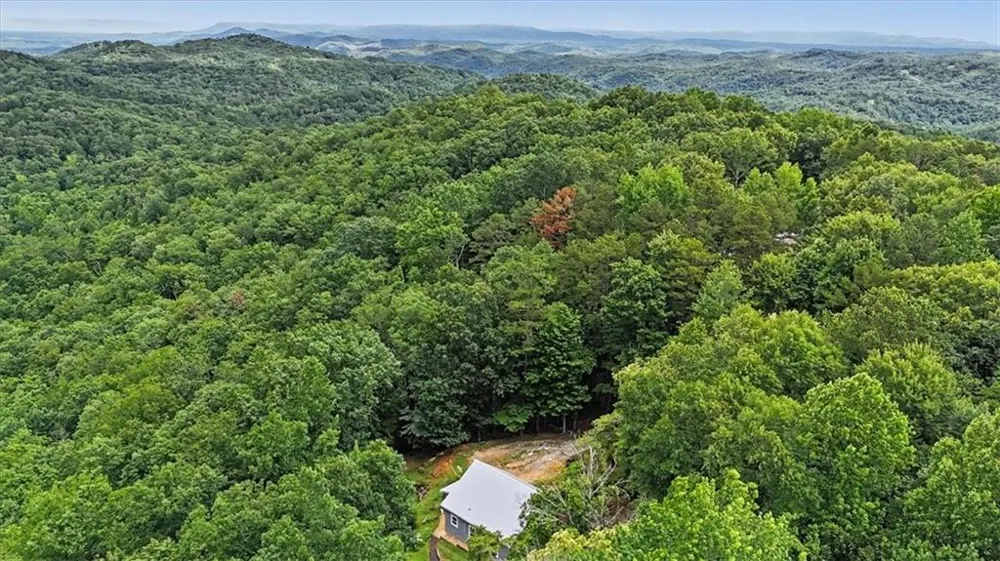 1002 Raccoon Ridge NE Ranger, GA 30734