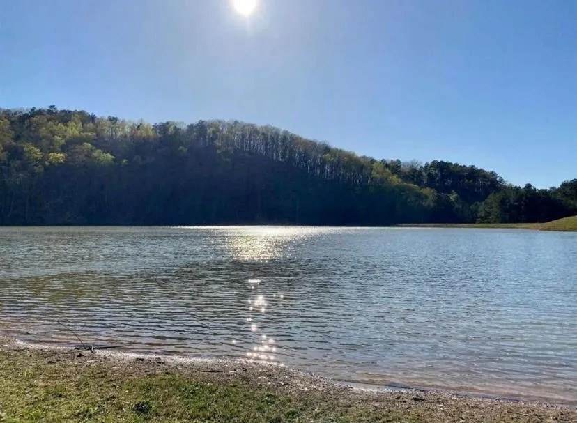 1002 Raccoon Ridge NE Ranger, GA 30734
