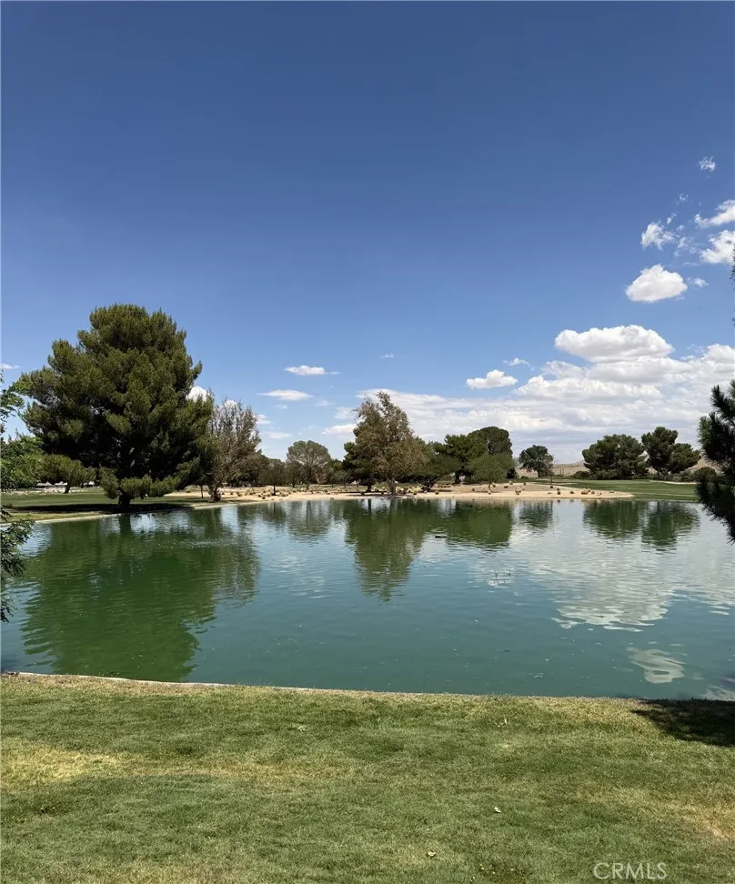 27535 Lakeview #46 Helendale, CA 92342