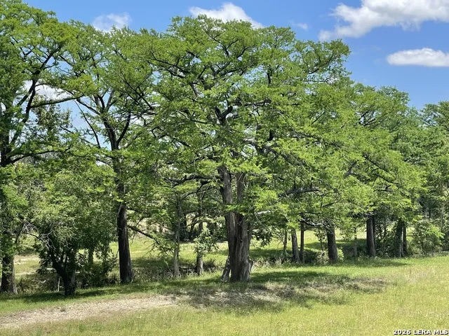 143 Coldwater Dr Center Point, TX 78010