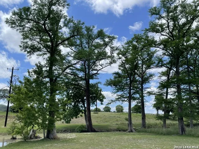 143 Coldwater Dr Center Point, TX 78010