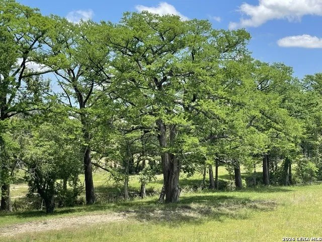 143 Coldwater Dr Center Point, TX 78010