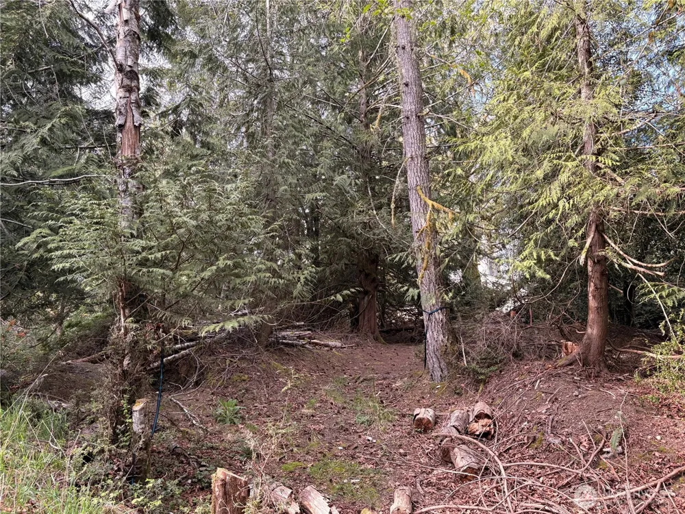730 E Madrona Boulevard NW Lakebay, WA 98349