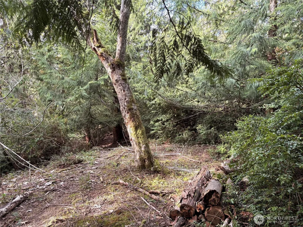730 E Madrona Boulevard NW Lakebay, WA 98349