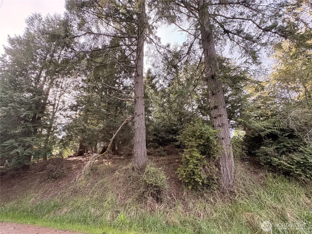 730 E Madrona Boulevard NW Lakebay, WA 98349
