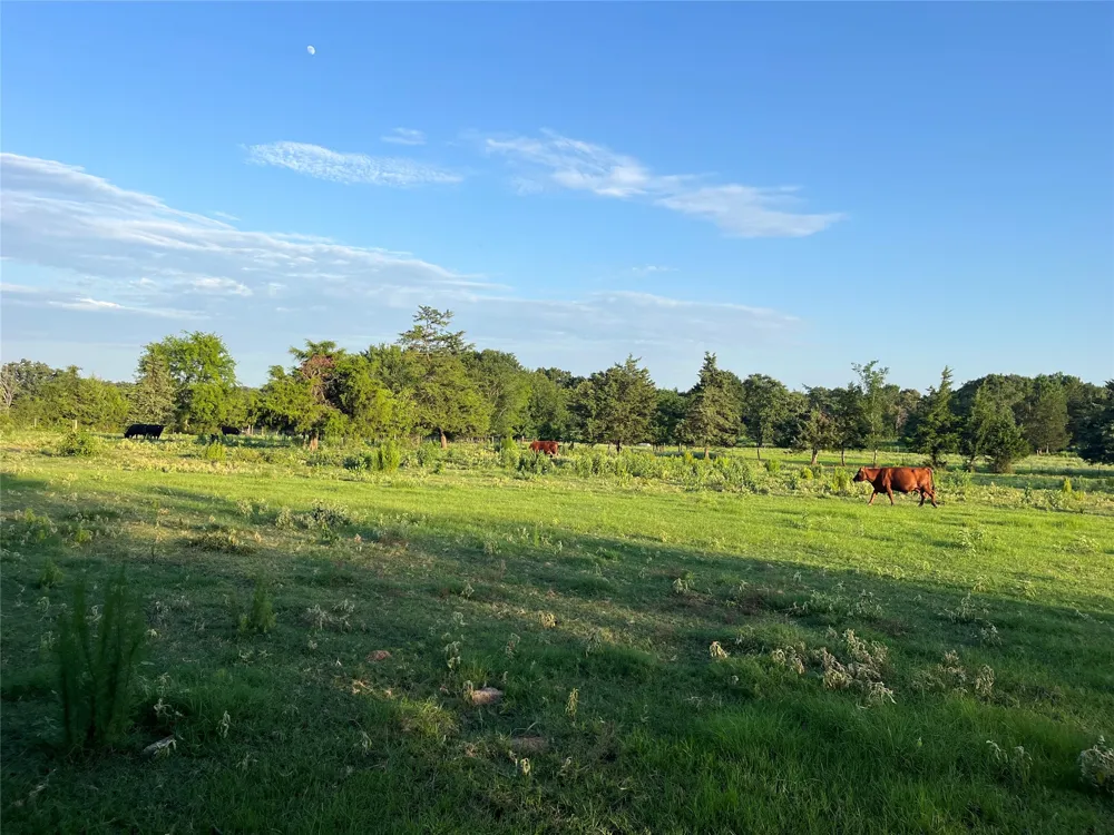 CR 4260 Mt Pleasant, TX 75455
