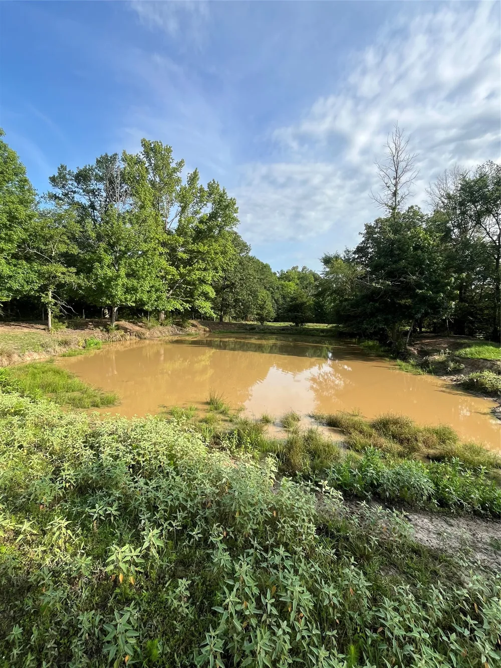 CR 4260 Mt Pleasant, TX 75455