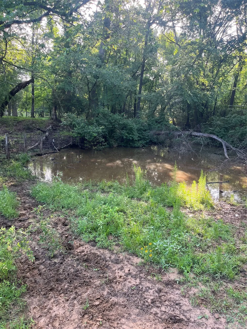 CR 4260 Mt Pleasant, TX 75455