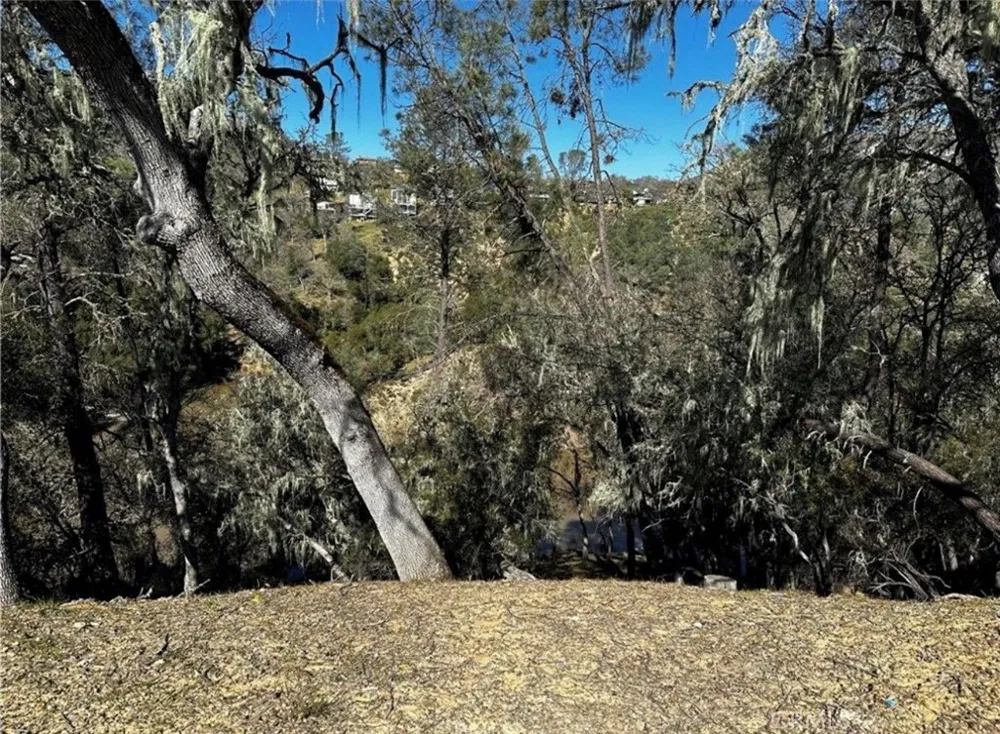 8209 Woody Point Bradley, CA 93426