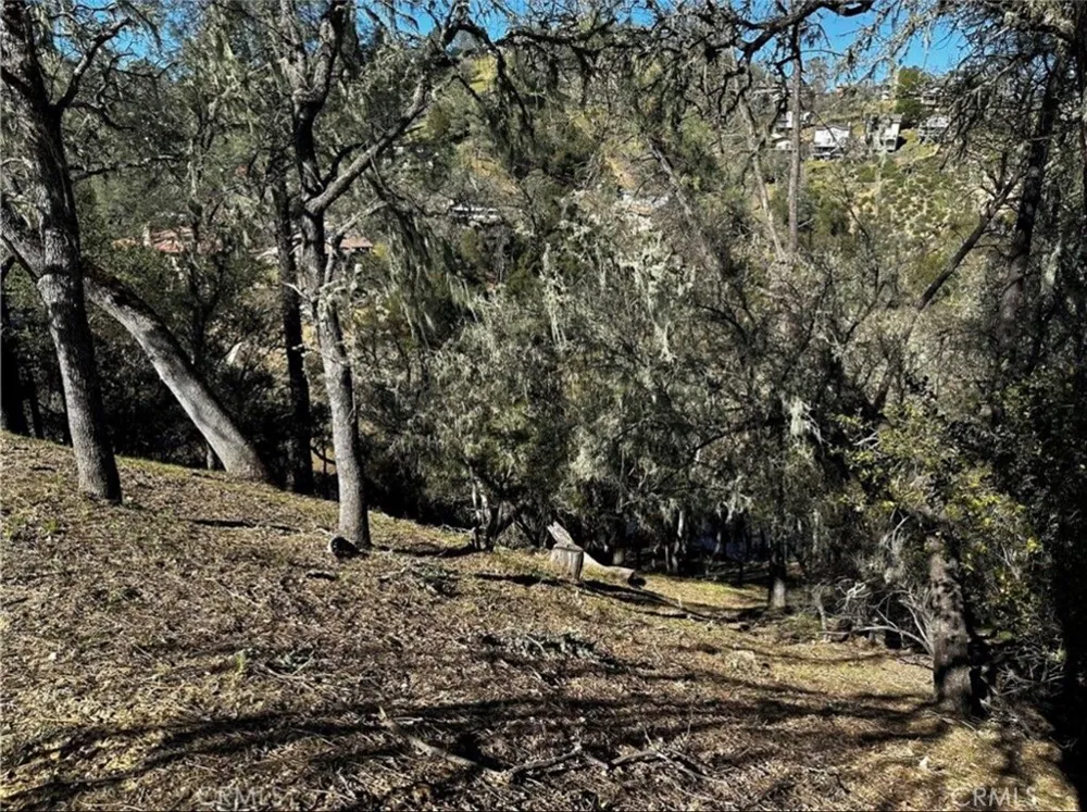 8209 Woody Point Bradley, CA 93426
