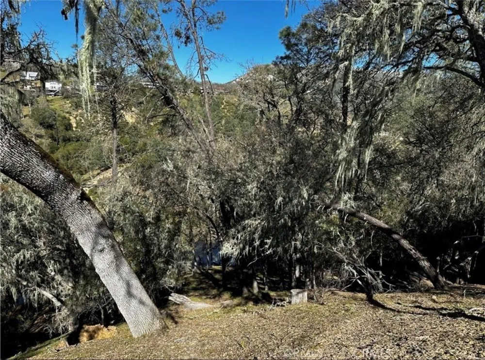 8209 Woody Point Bradley, CA 93426