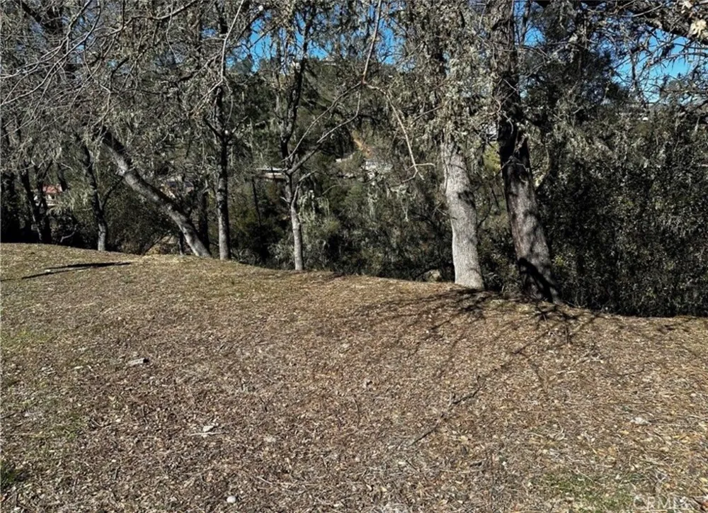8209 Woody Point Bradley, CA 93426