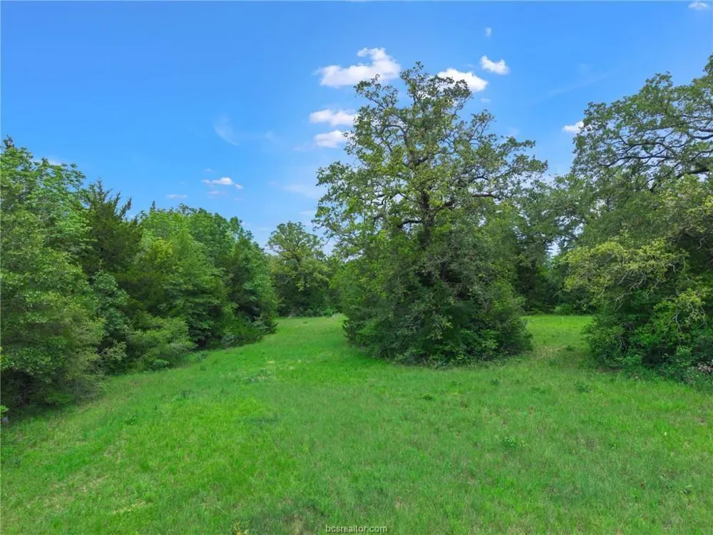 12863 Emu Lane North Zulch, TX 77872