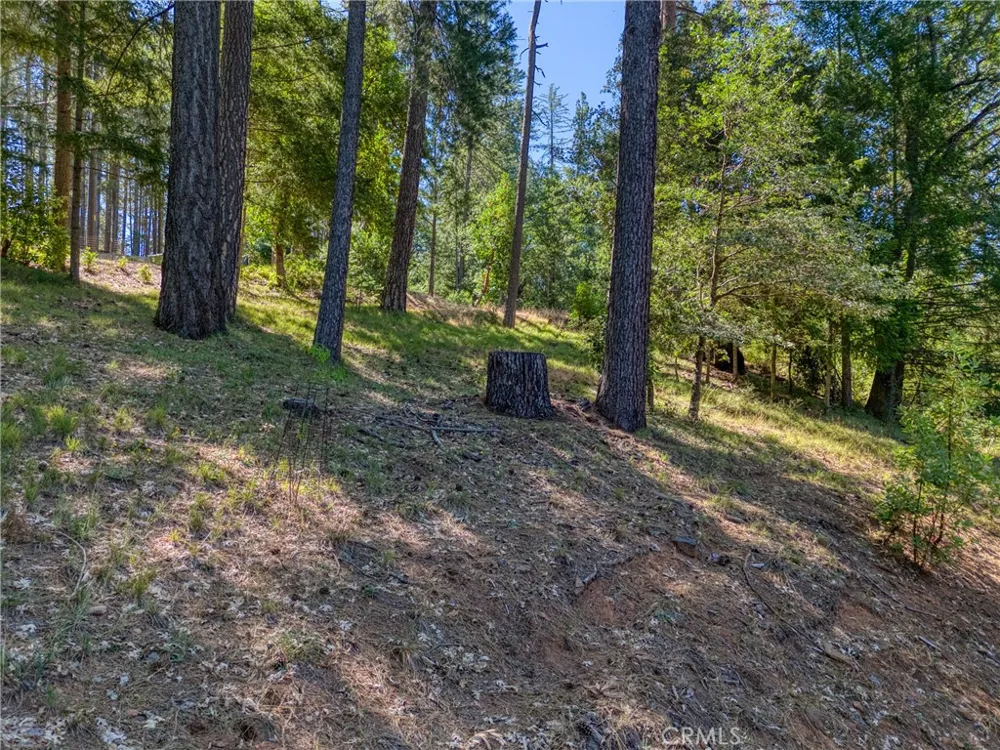 15800 Rainbow Cobb, CA 95426