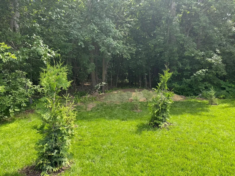 1397 Burroughs Road Detroit Lakes, MN 56501