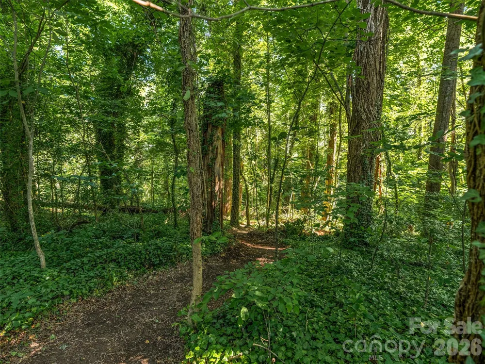 103 Aurora Drive #2 Asheville, NC 28805