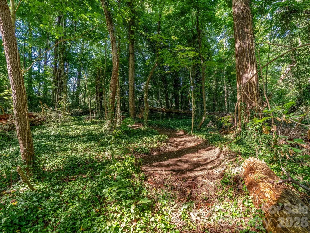 103 Aurora Drive #2 Asheville, NC 28805