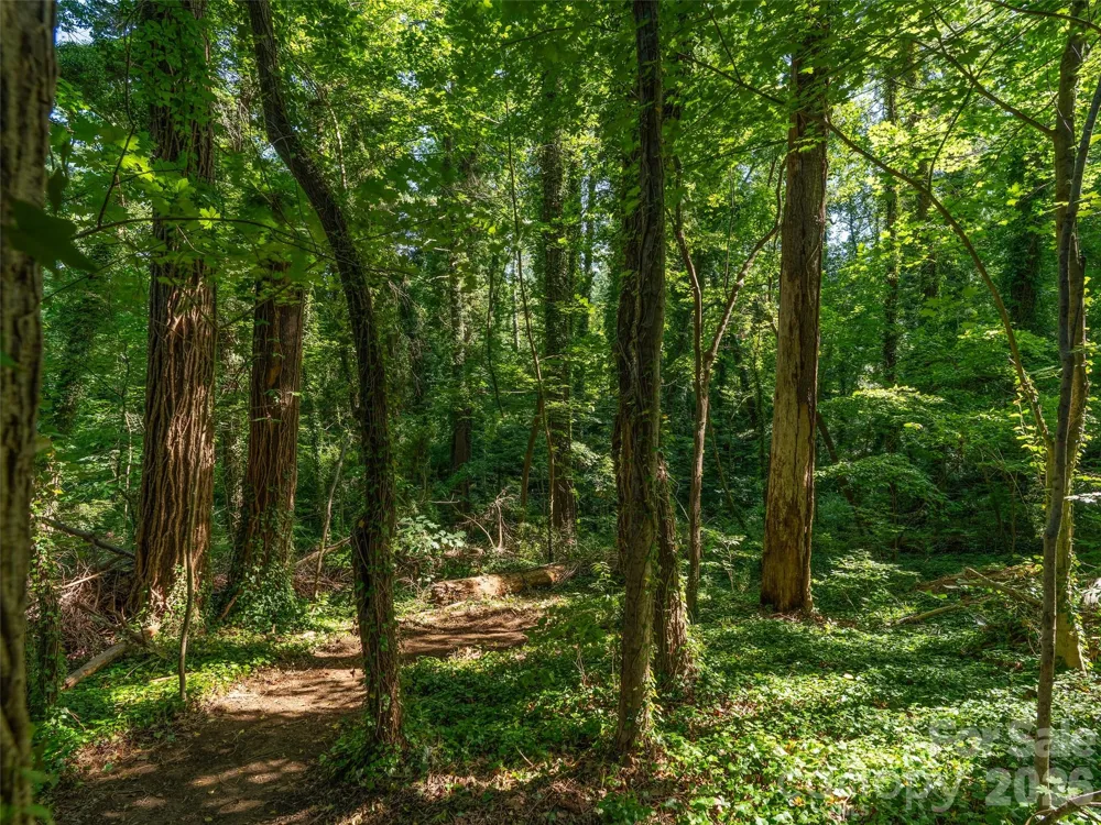 103 Aurora Drive #2 Asheville, NC 28805