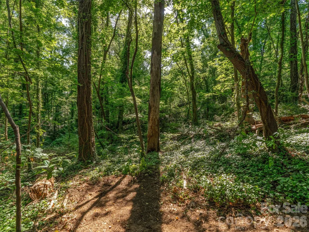 103 Aurora Drive #2 Asheville, NC 28805
