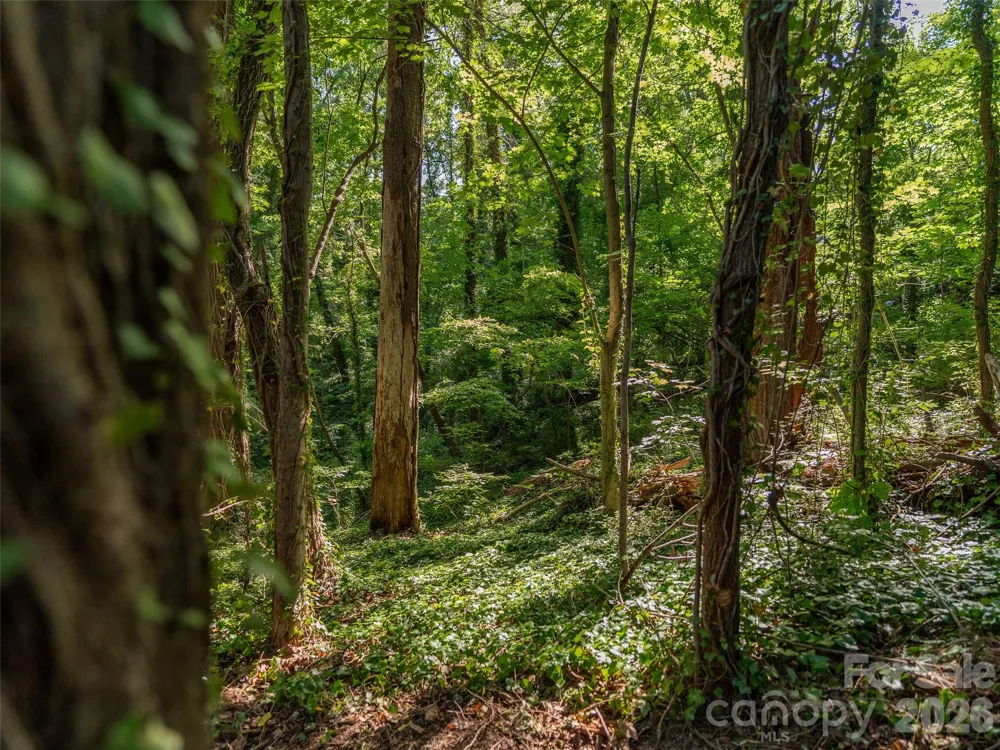 103 Aurora Drive #2 Asheville, NC 28805