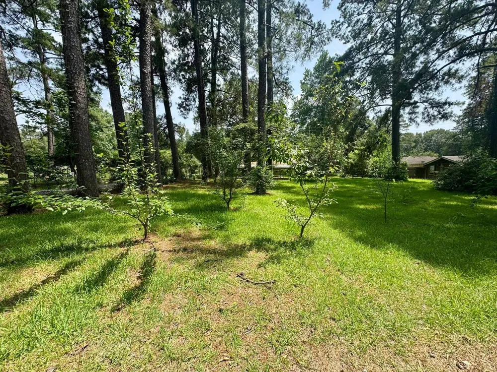 803 Pear Street Woodville, TX 75979