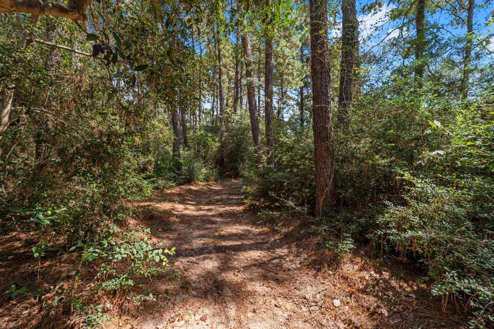 1534 Virgie Community Road Magnolia, TX 77354