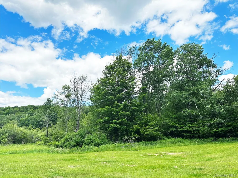 818 Methol Road Roscoe, NY 12776
