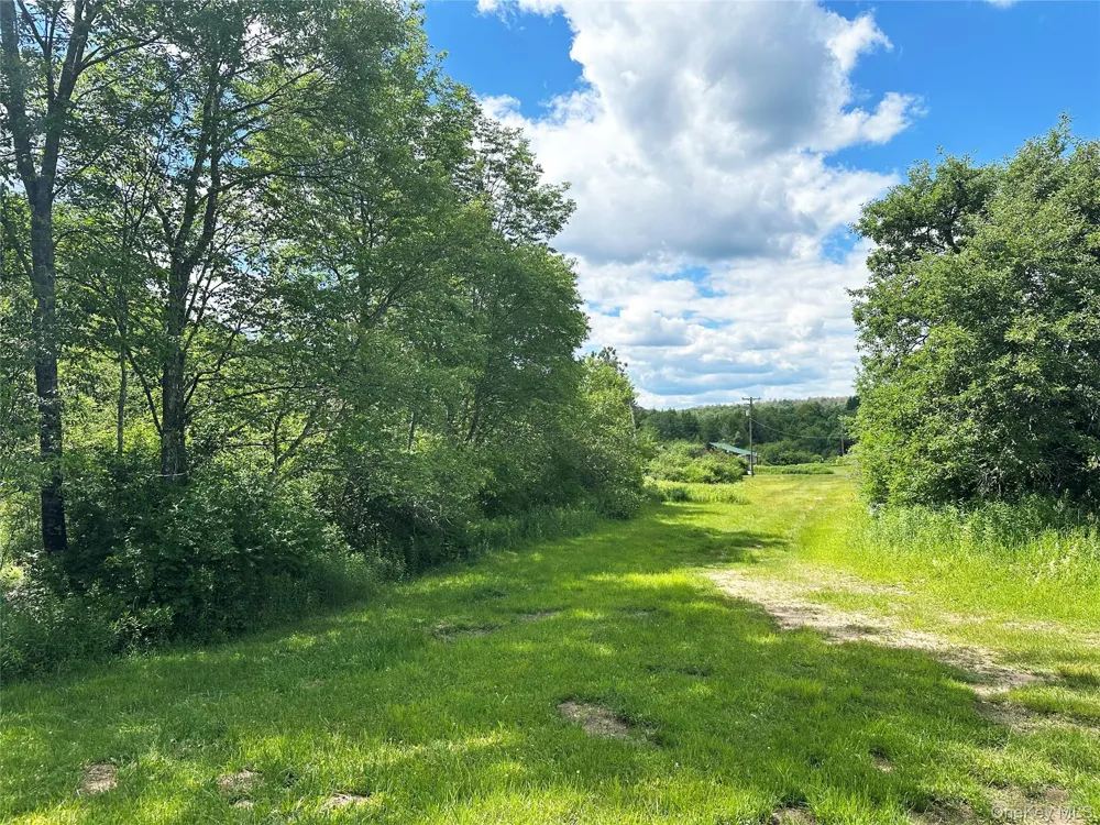 818 Methol Road Roscoe, NY 12776
