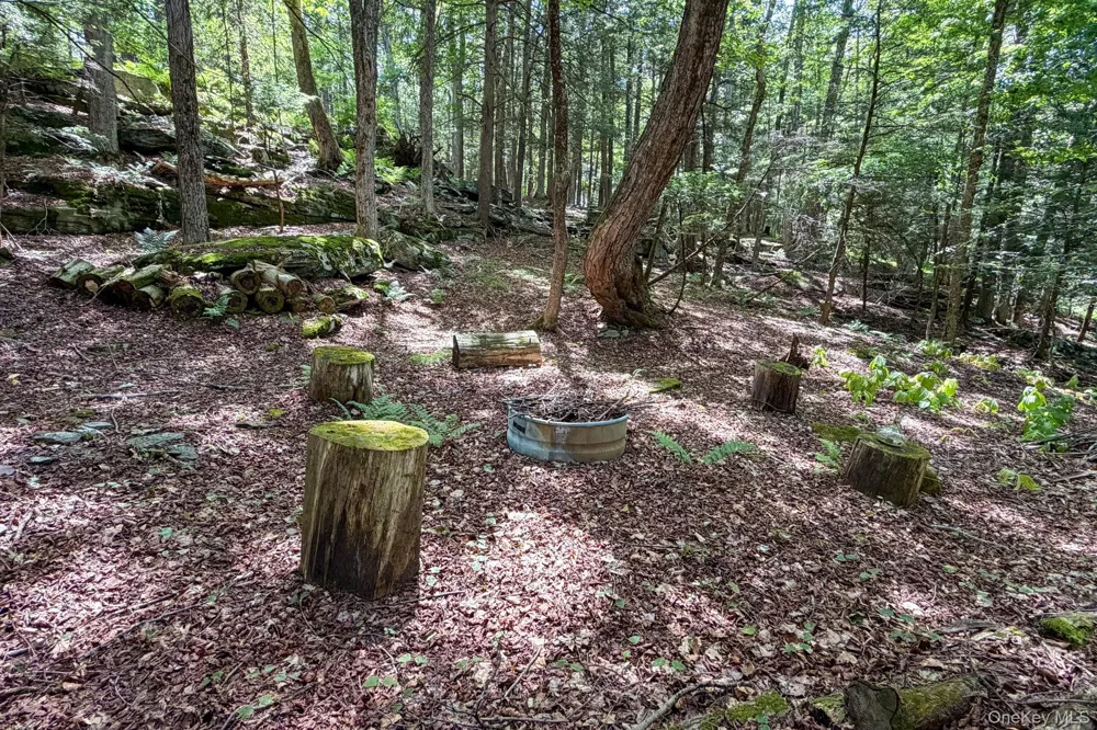 10 Church Road Mountain Dale, NY 12763
