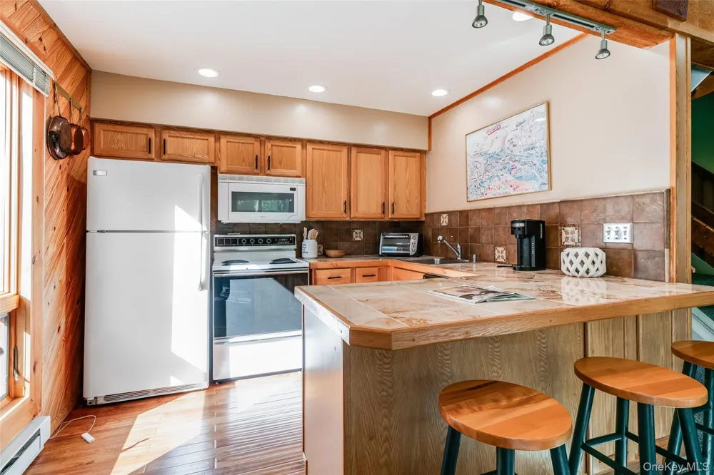 56 Highlands Drive #F1 Hunter, NY 12442