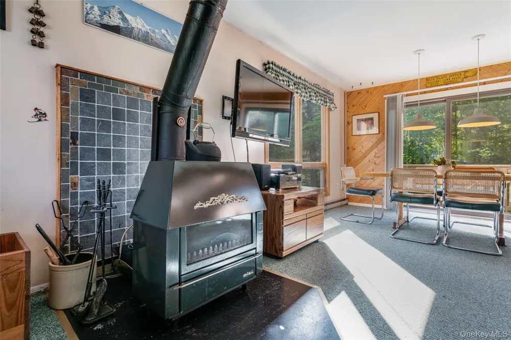56 Highlands Drive #F1 Hunter, NY 12442