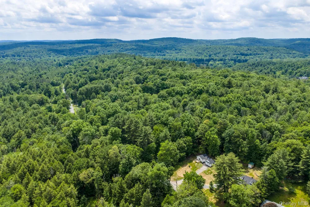 810 Benton Hollow Road Woodbourne, NY 12788