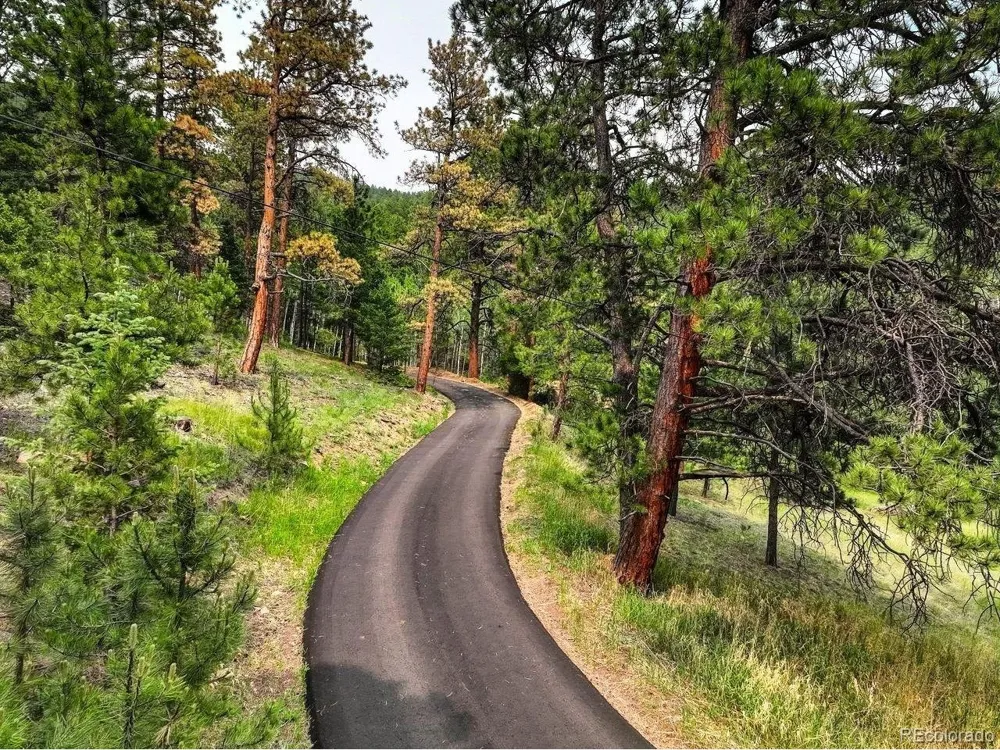 13338 Elsie Road Conifer, CO 80433