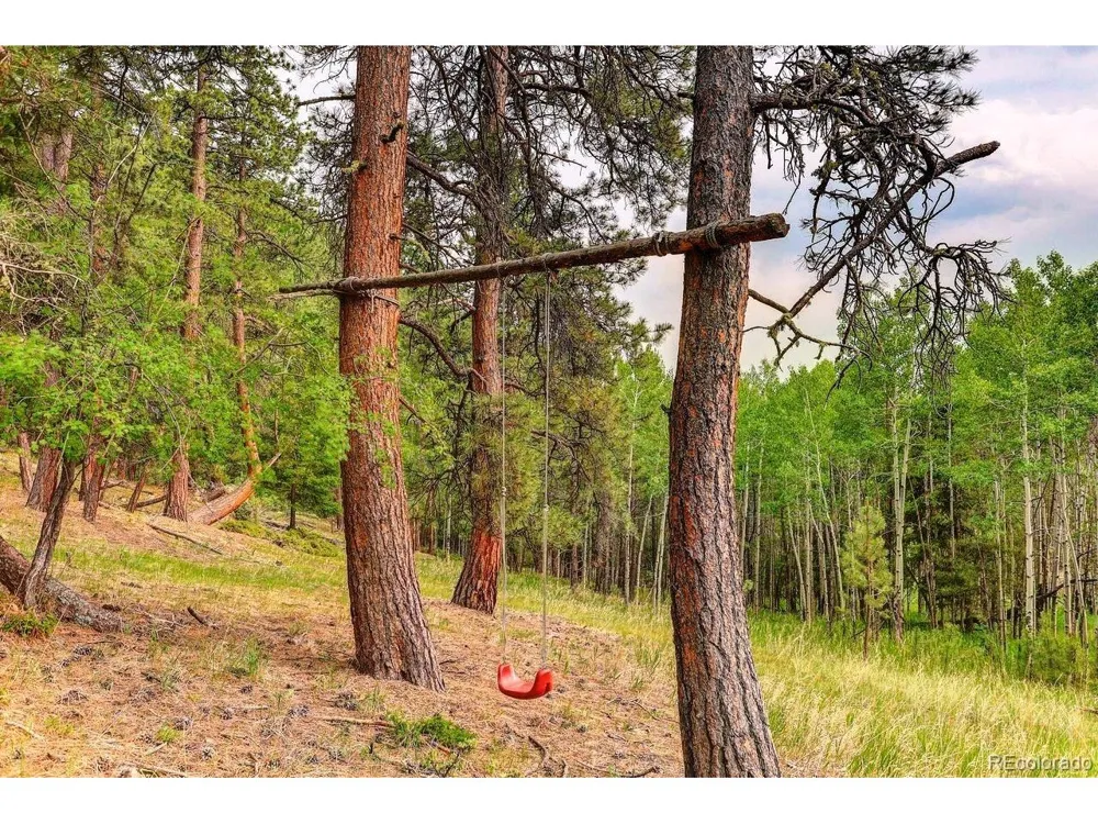 13338 Elsie Road Conifer, CO 80433
