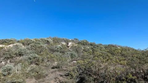 778 Crazy Horse Canyon