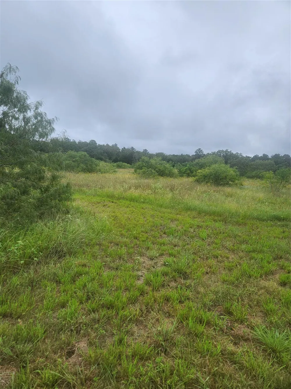 7600 Race Track Road La Grange, TX 78945