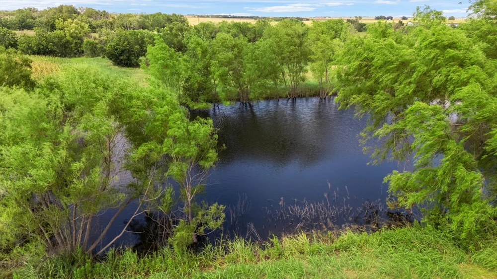 14201 Lund Carlson Road Coupland, TX 78615