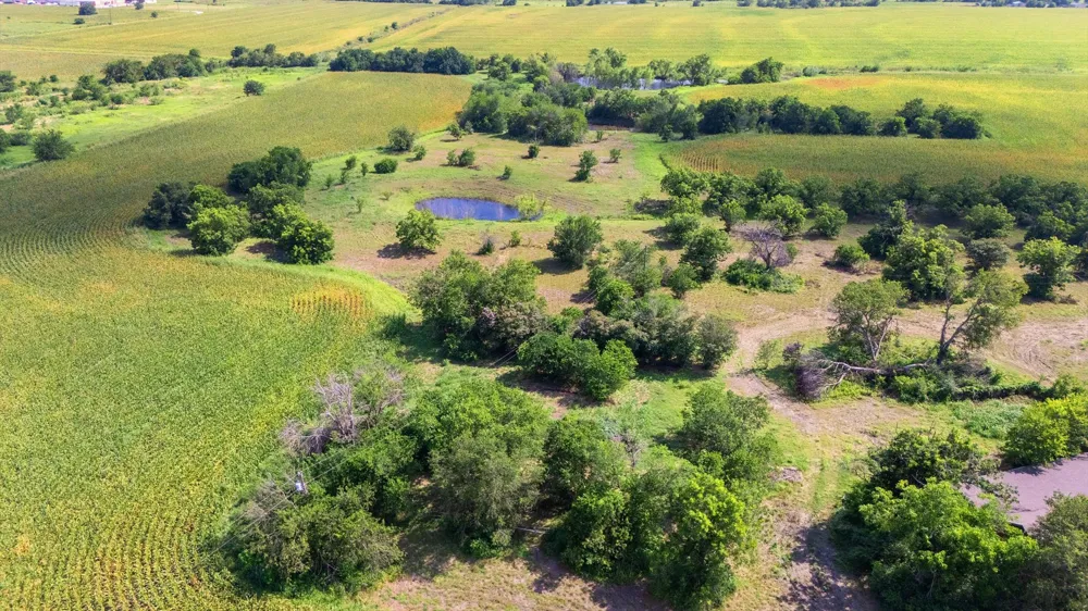 14201 Lund Carlson Road Coupland, TX 78615