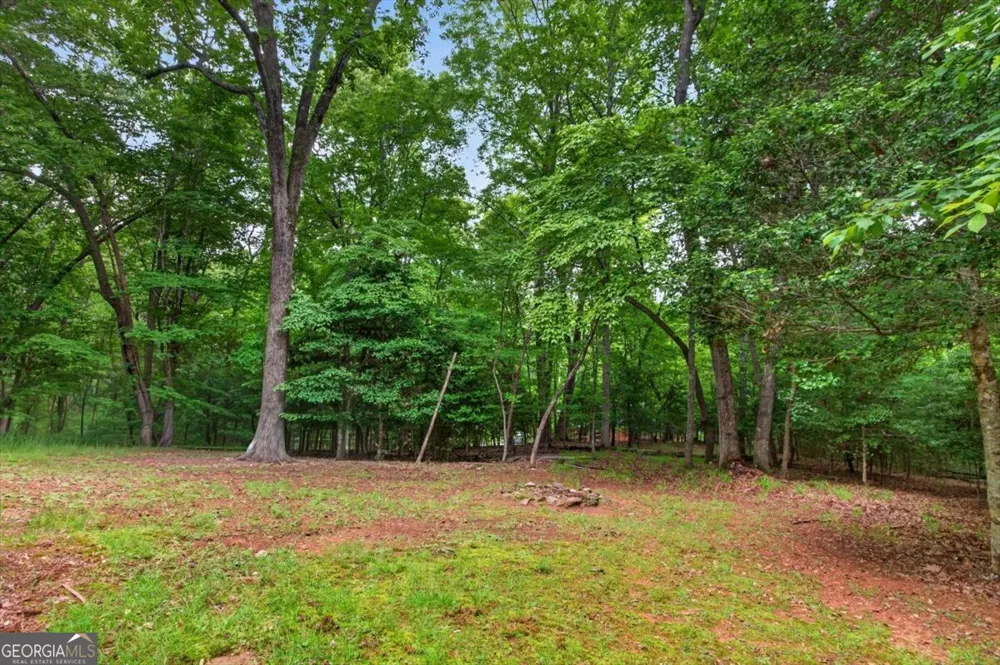 648 Stuart Mountain RD Mineral Bluff, GA 30559