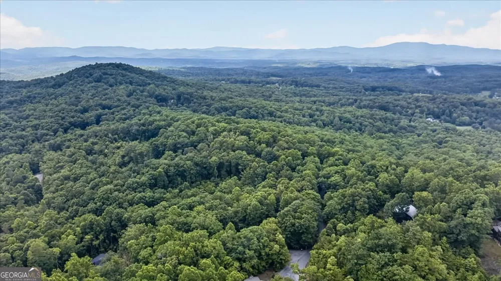 648 Stuart Mountain RD Mineral Bluff, GA 30559