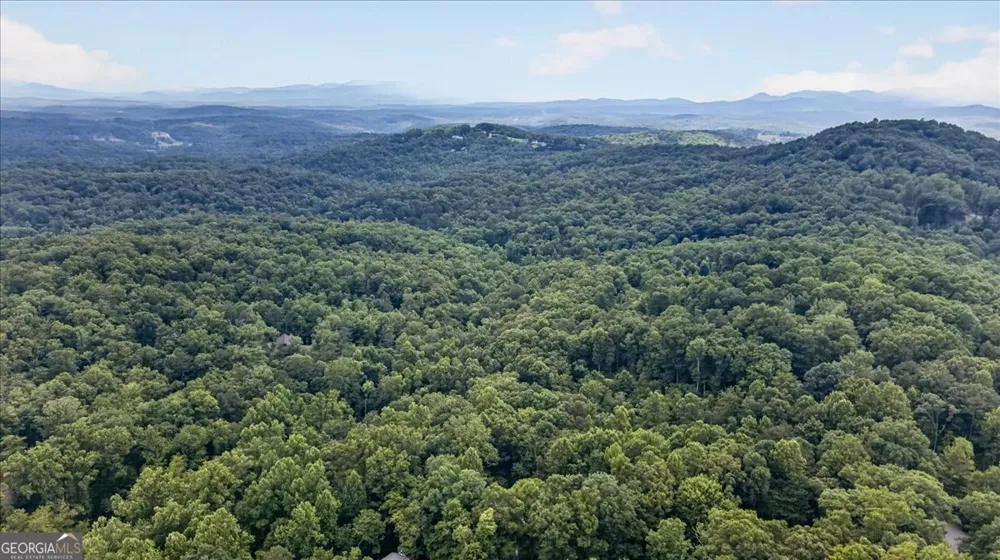 648 Stuart Mountain RD Mineral Bluff, GA 30559