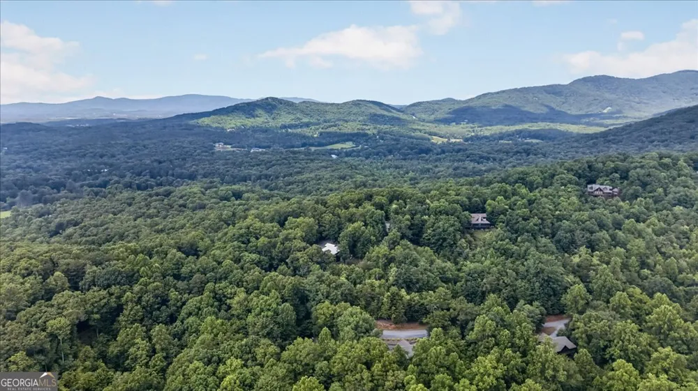 648 Stuart Mountain RD Mineral Bluff, GA 30559